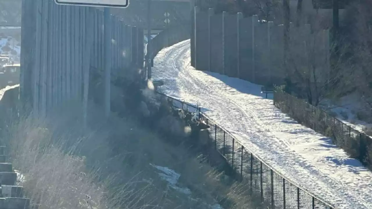 Dozens of elk force shutdown of I-80, I-215; 4 elk die from vehicle collisions