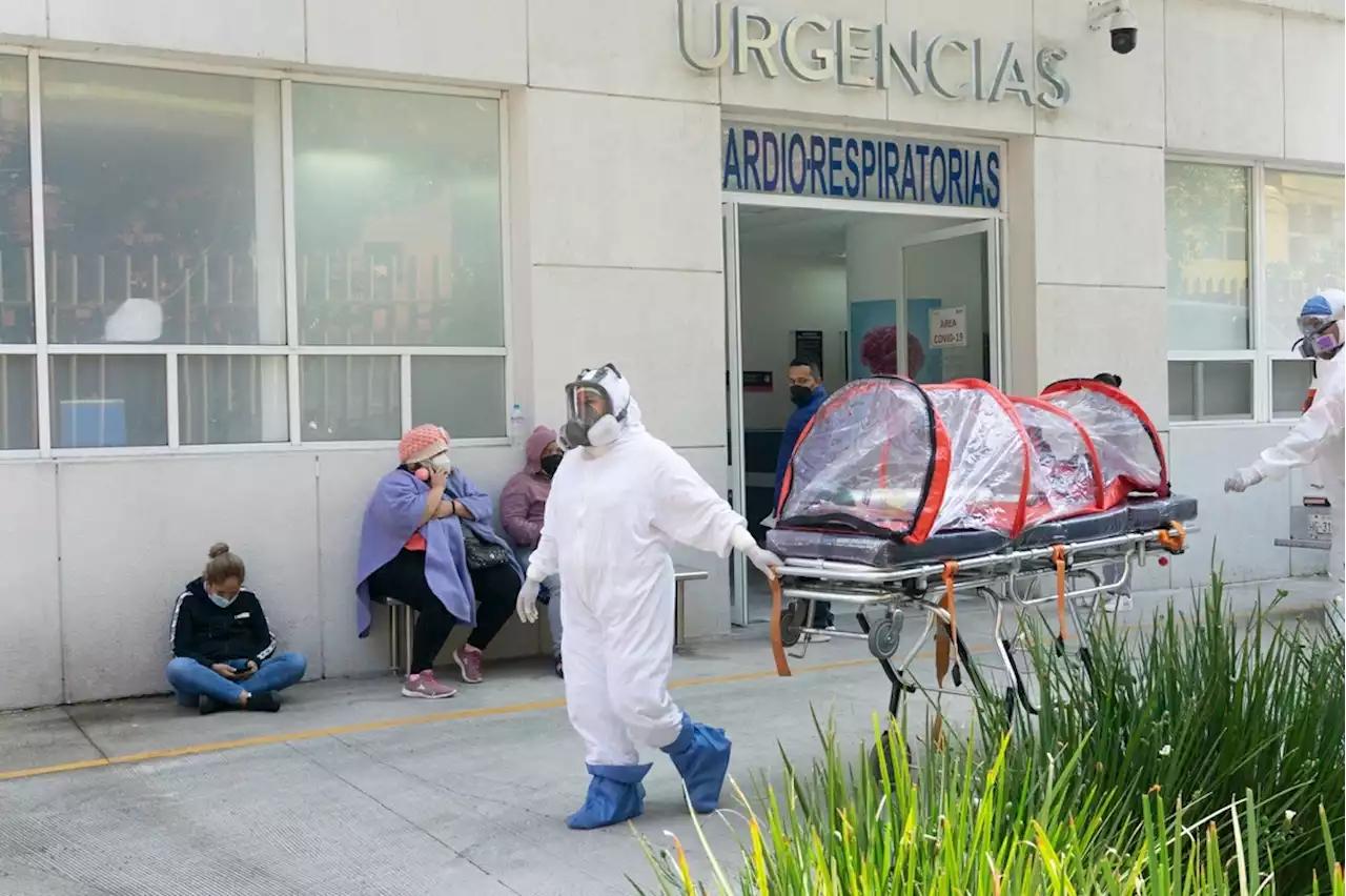 Aseguradoras pagaron 61.2 mdp diarios durante la pandemia: AMIS