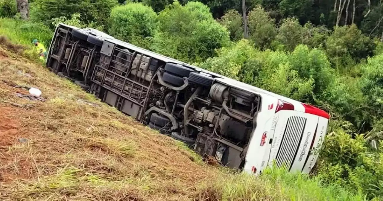 Tragedia en Brasil: identificaron a dos de los cinco argentinos muertos al volcar un colectivo | Sucesos | La Voz del Interior