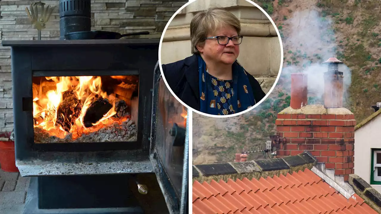 Wood burning stoves could land owners with £300 fine and criminal record after sales surged amid soaring gas prices