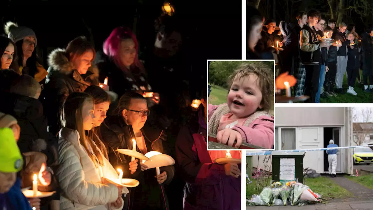 Candlelit vigil held for 'happy little girl', 4, mauled to death by pet dog as family 'still coming to terms with' tragedy