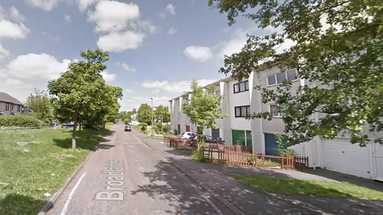 Four-year-old girl dies after 'dog attack' in back garden of home in Milton Keynes