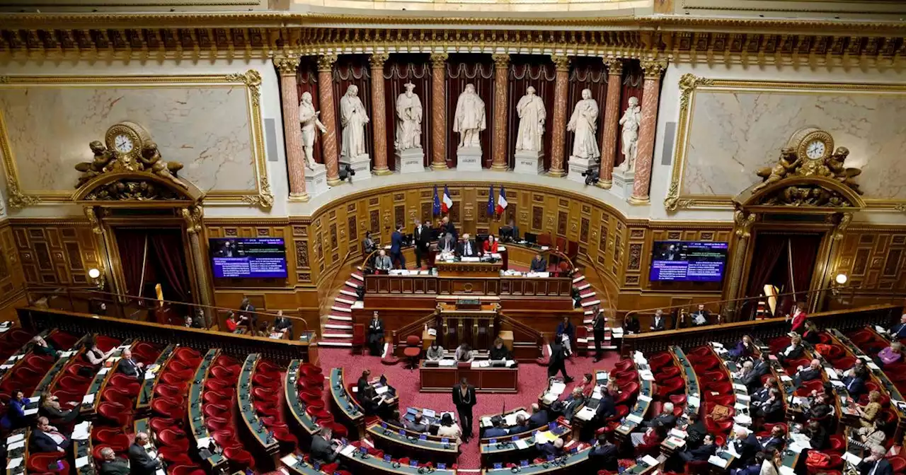 Le Sénat favorable à l'inscription dans la Constitution de la «liberté» de recourir à l'IVG