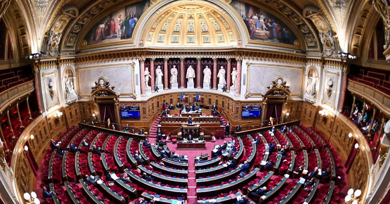 IVG dans la Constitution : au Sénat, l'amendement qui relance le suspense