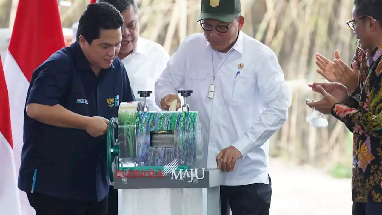 Erick Thohir Undang Frisian Flag Investasi 12 Ribu Sapi di Indonesia