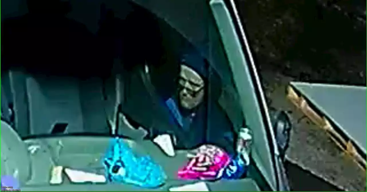 CCTV released after vandal crawls under gate and damages buses