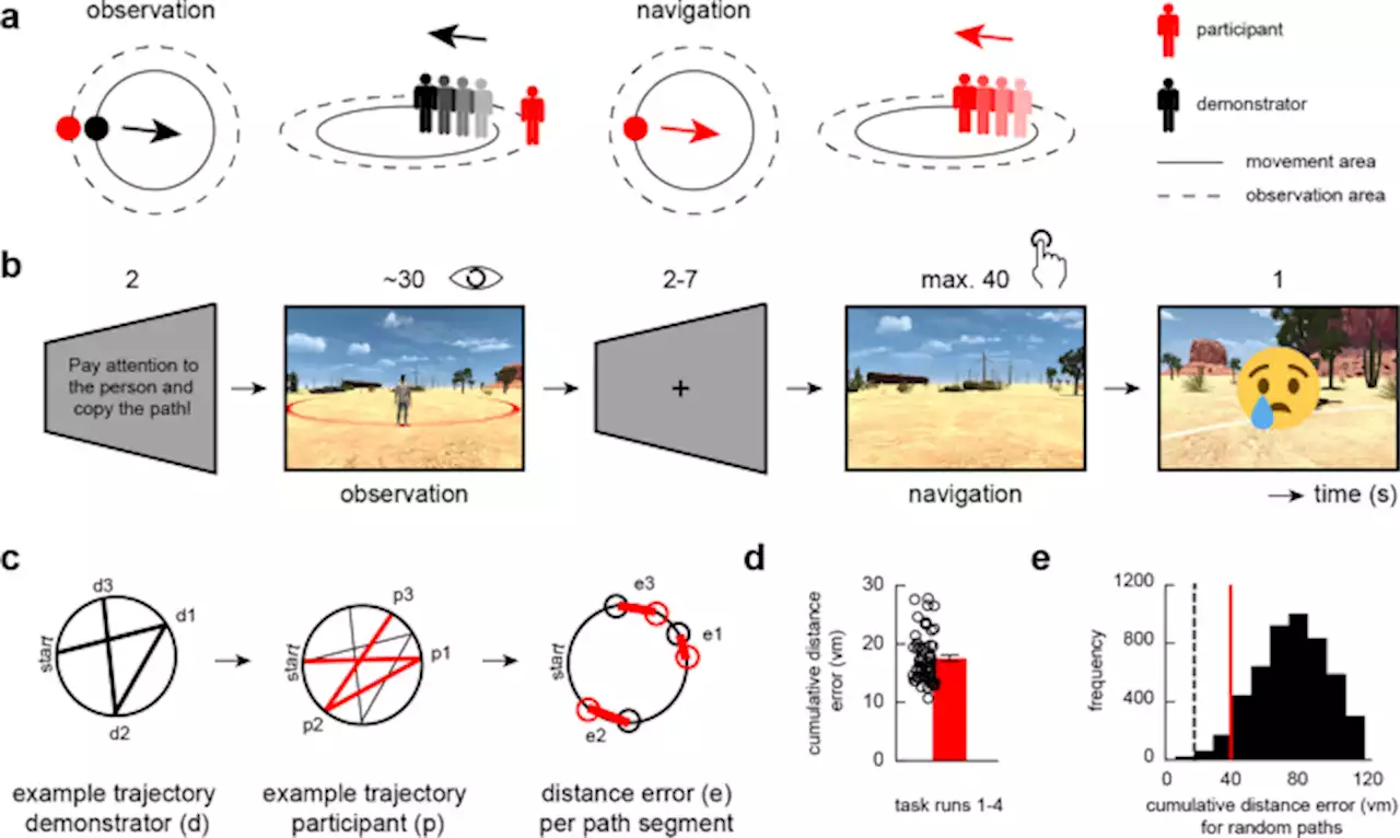 Entorhinal grid-like codes and time-locked network dynamics track others navigating through space - Nature Communications