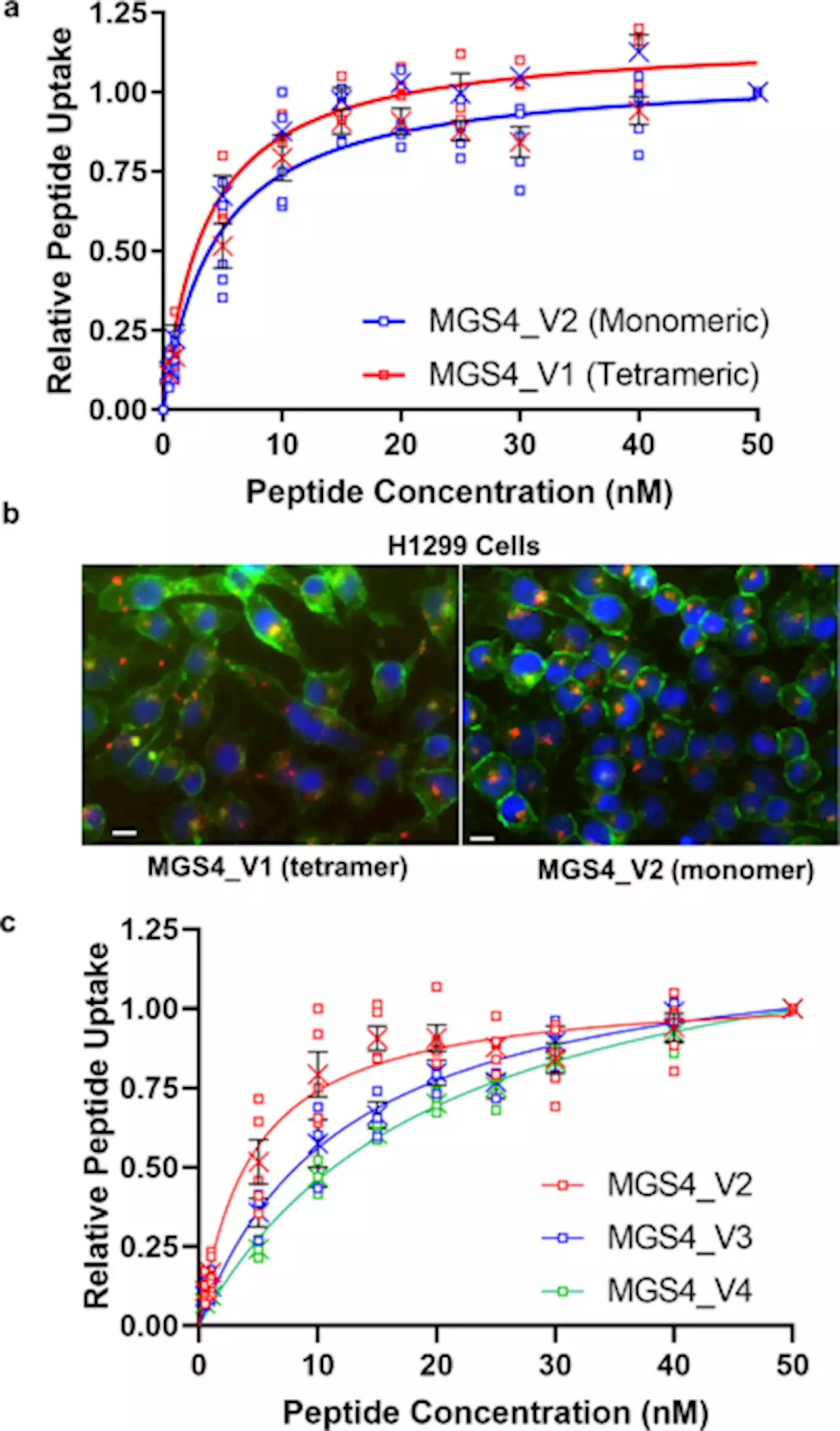 Tumor-specific intracellular delivery: peptide-guided transport of a catalytic toxin - Communications Biology