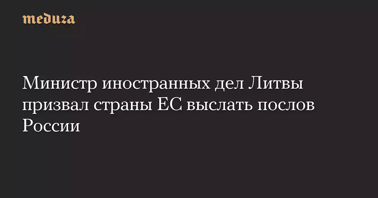 Министр иностранных дел Литвы призвал страны ЕС выслать послов России — Meduza