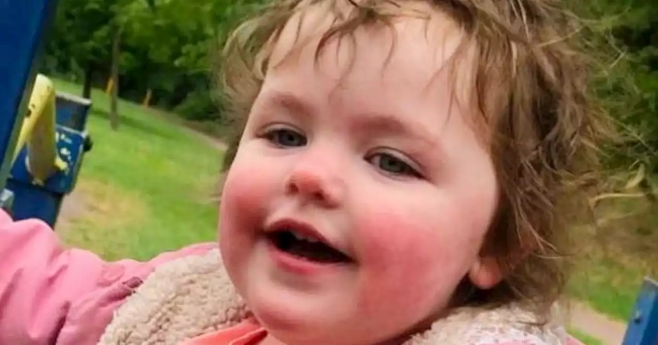 Girl, 4, who died after being mauled by dog in her back garden pictured