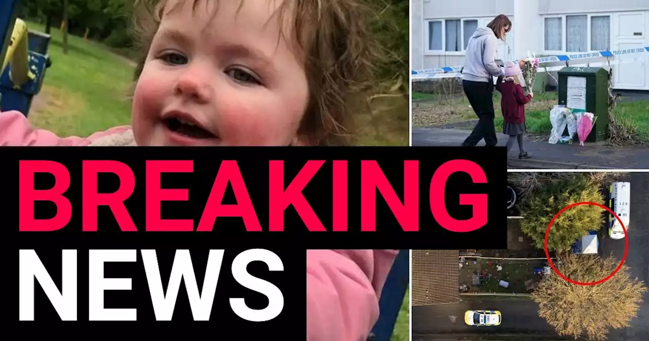 First picture of girl, 4, mauled to death by dog in her back garden