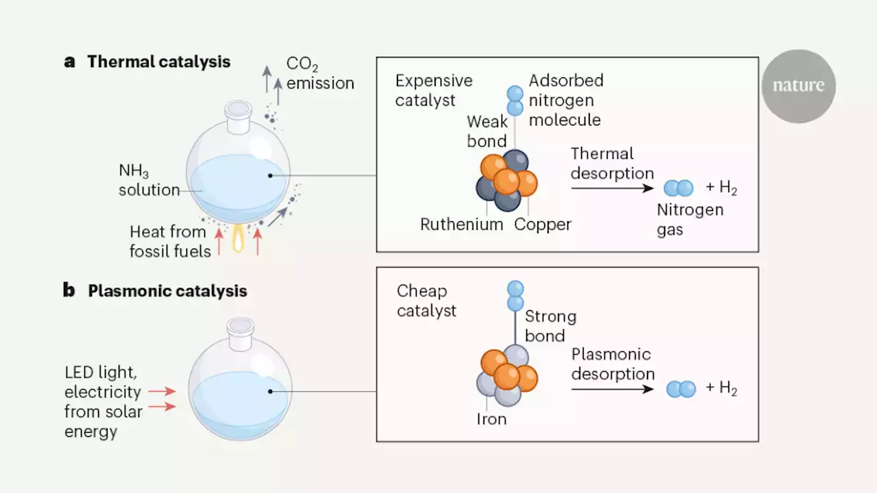 Light-activated catalysts point the way to sustainable chemistry