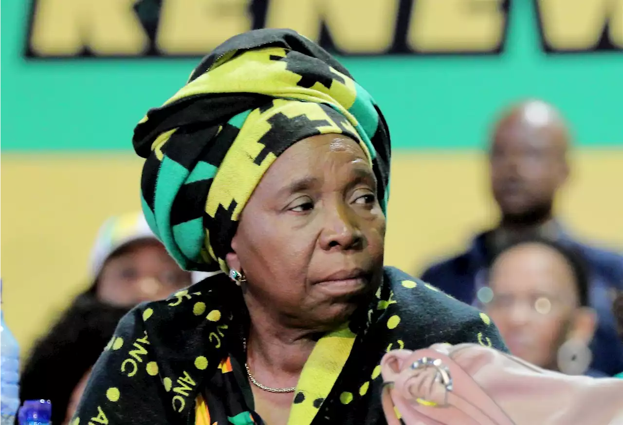 Load shedding crisis could save Dlamini-Zuma from Ramaphosa's Cabinet reshuffle | News24