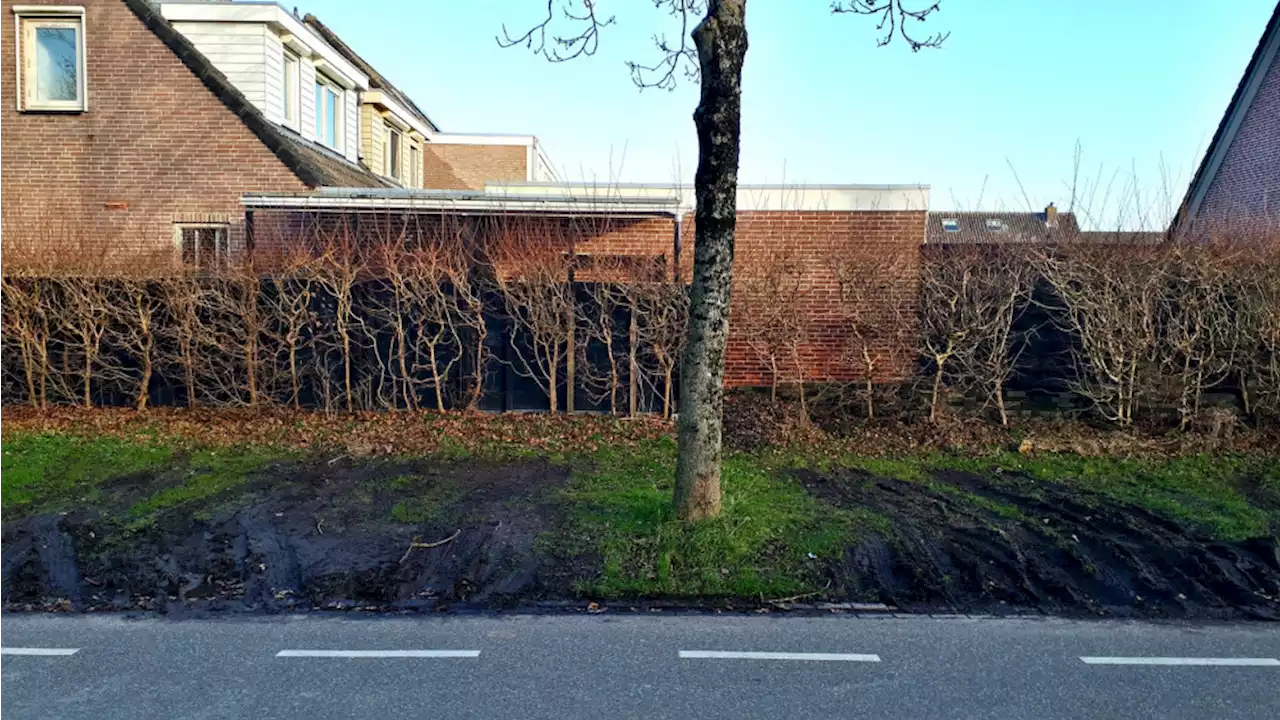 Wildparkeerders roepen veel ergernis op bij buurtbewoners in Enkhuizen: 'Geen gezicht'