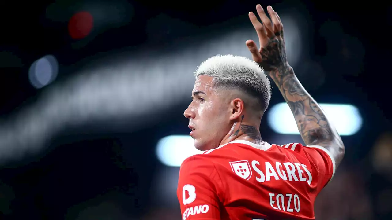 Mercato: Chelsea d'accord avec Benfica pour Enzo Fernandez, encore une dépense folle pour les Blues