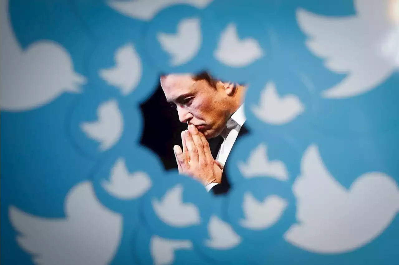 Elon Musk and Right-Wing Friends Do Us a Favor By Hiding Their Tweets