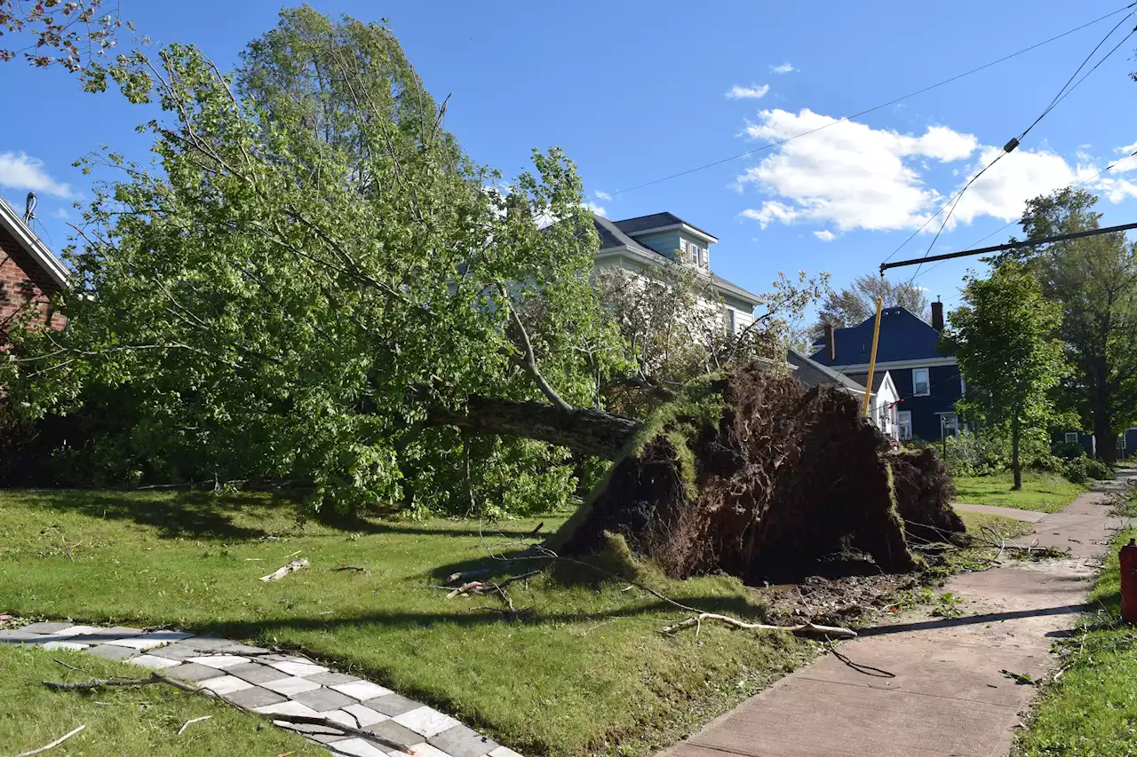 Some Pictou County residents feel Red Cross funding was arbitrarily denied | SaltWire