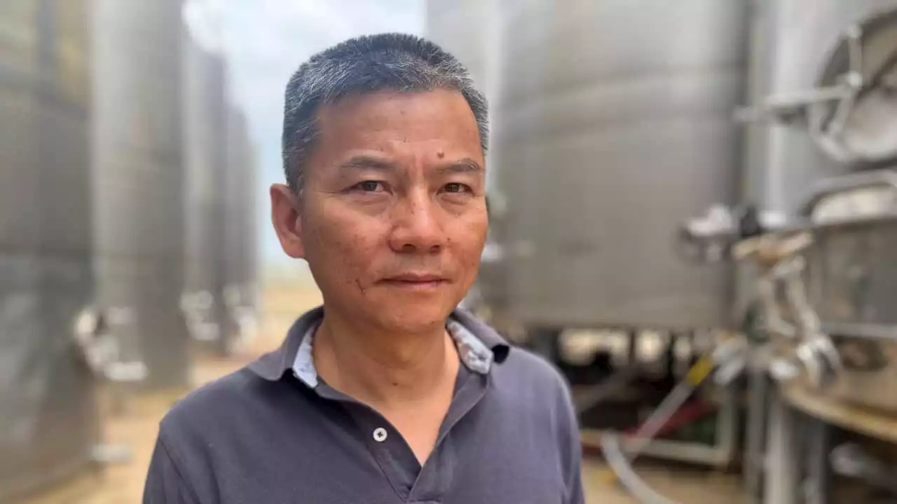 Meiqing followed his winery dream from China. Now, his losses are soaring past $1 million