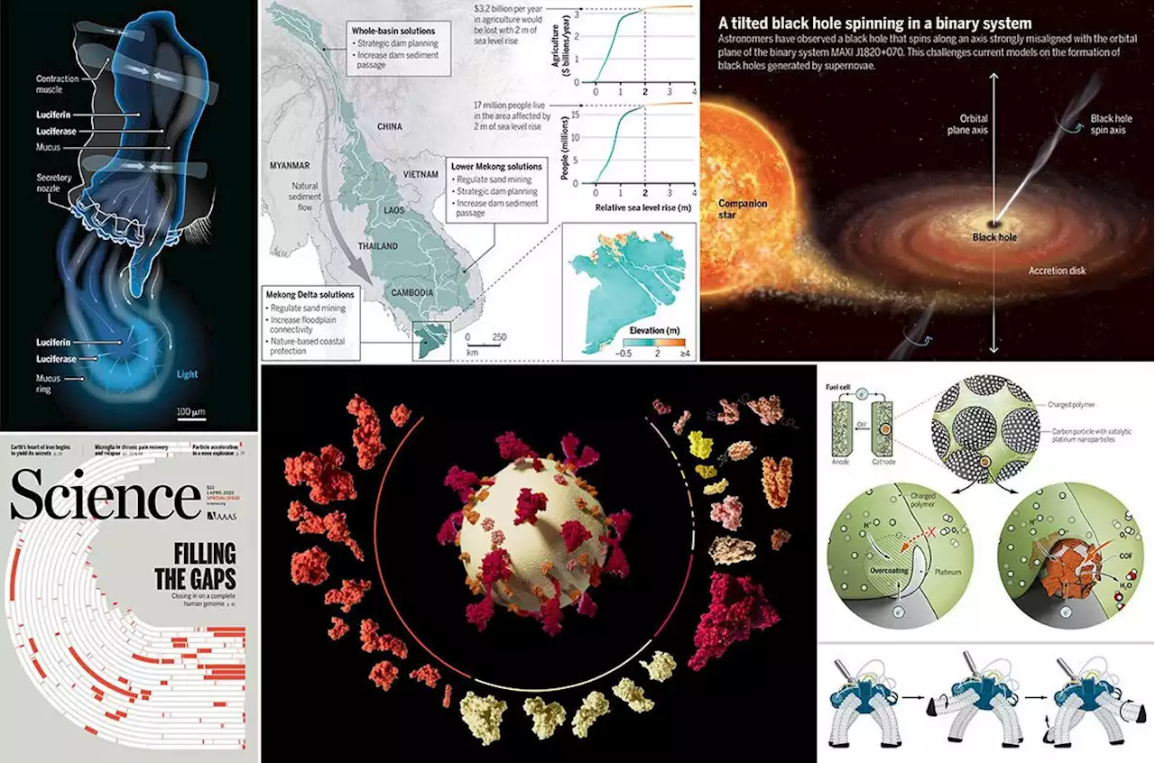 The best of Science graphics in 2022