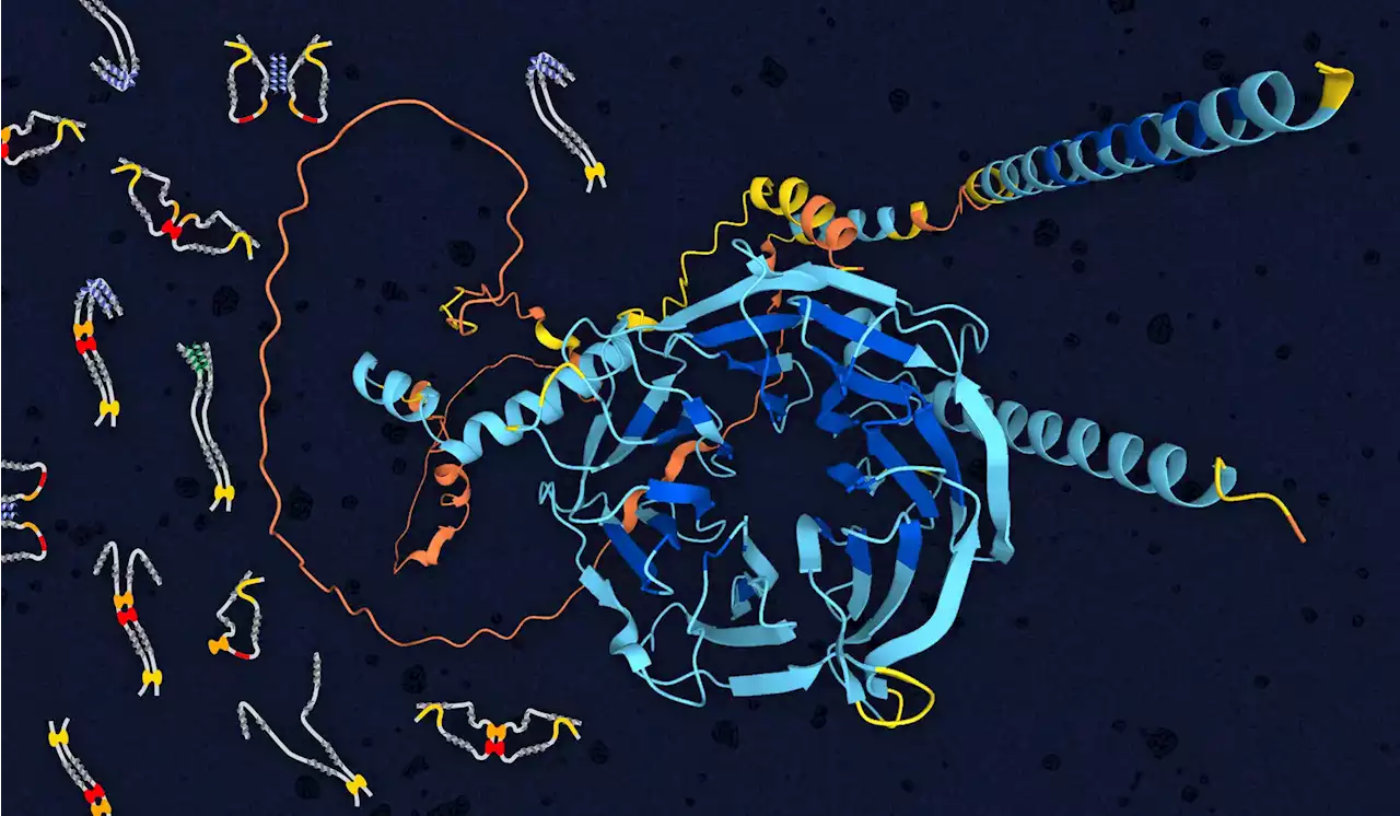 Analysis of Cellular “Vehicles” Sheds New Light on Alzheimer’s, Parkinson’s, and ALS