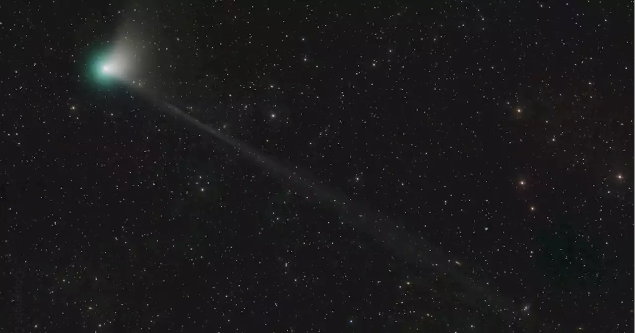 Not seen since the Stone Age: The Green Comet is back