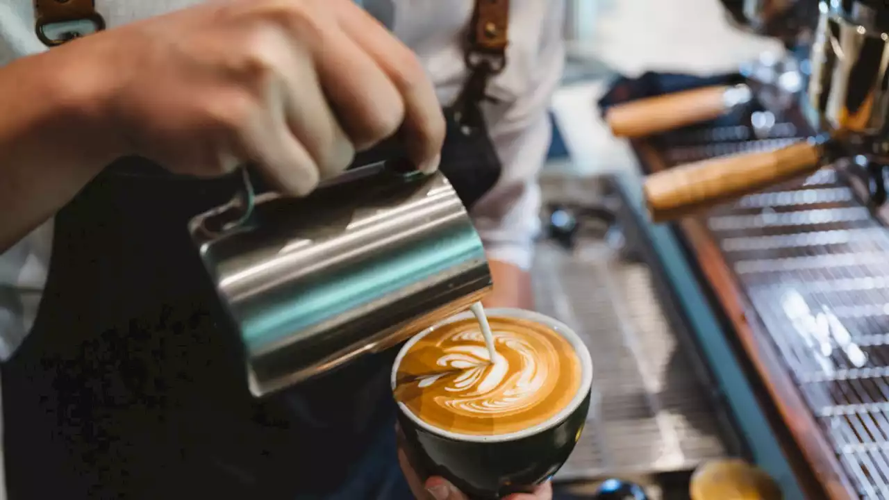 Revealed: Some coffee chains put much more caffeine in their drinks than others