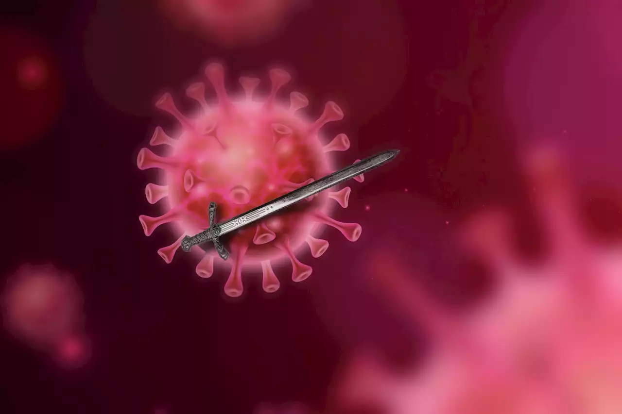 What Is COVID Actually Doing to Our Immune Systems?