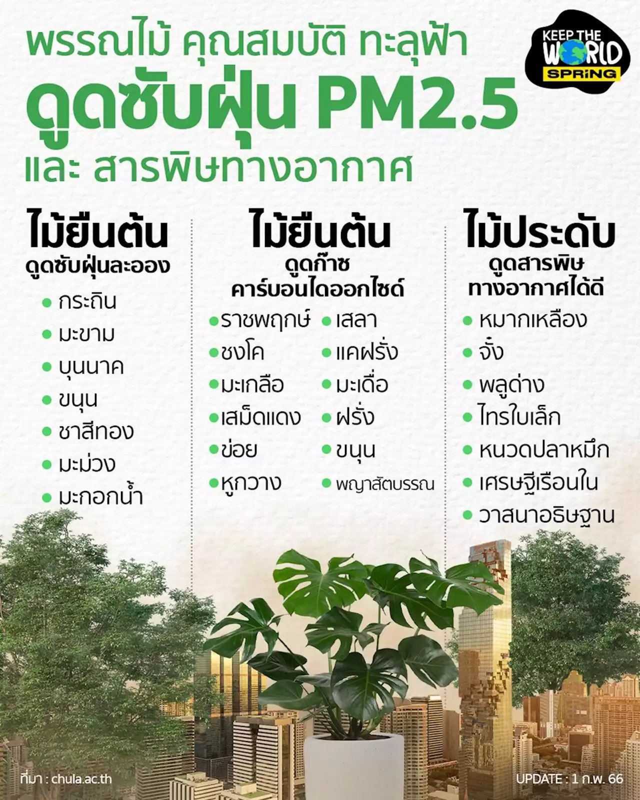 ชวน ปลูกต้นไม้ พรรณไม้ คุณสมบัติ ดูดซับฝุ่น PM 2.5 ดูดฝุ่นละออง สารพิษทางอากาศ