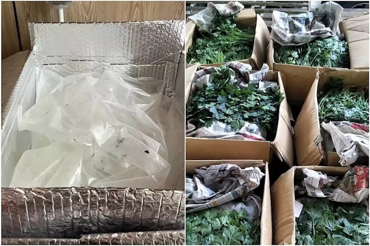 $28k in fines for two food importers over illegal import and sale of seafood and vegetables