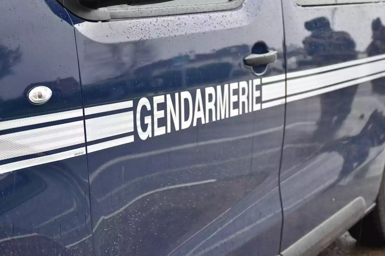 Une fillette de sept ans tuée par arme blanche dans l’Allier, la mère suspectée