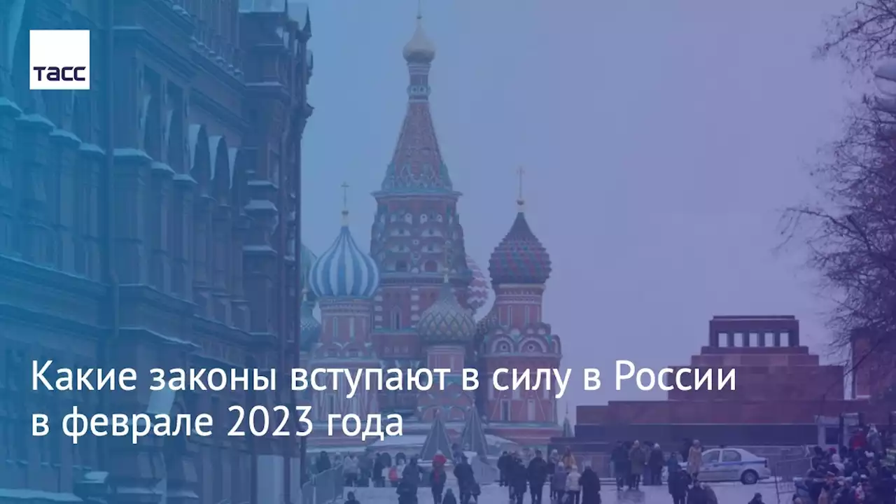 Какие законы вступают в силу в России в феврале 2023 года