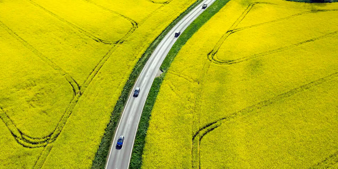 Gesetzentwurf zum Biosprit: Streit um blühende Landschaften