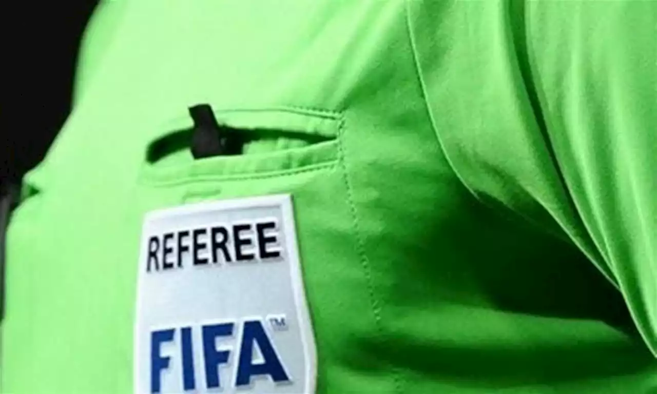 FULL LIST: 29 Nigerian referees get FIFA badges | TheCable