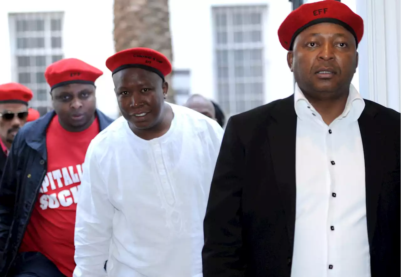 Court finds Kunene guilty of HATE SPEECH for calling Malema a cockroach