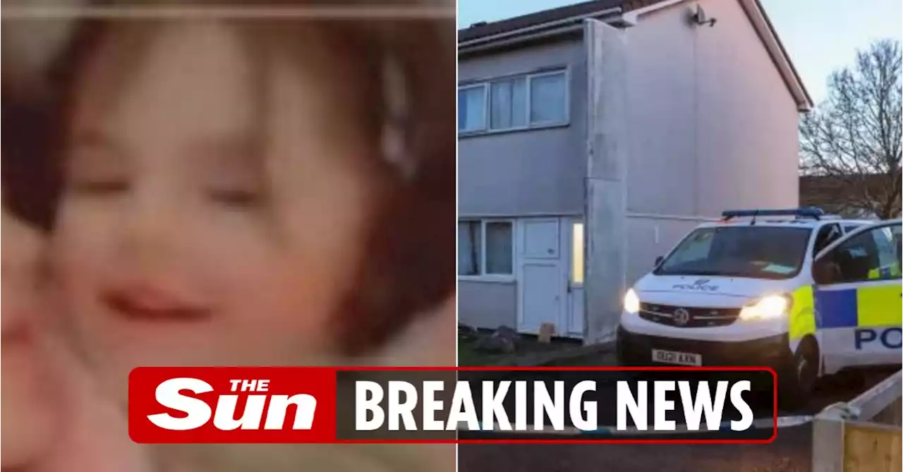 Tragedy as girl, 4, is mauled to death by dog as horrifying screams heard