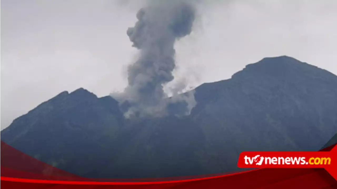 Kembali Erupsi, Gunung Semeru Terekam Alami 16 Kali Letusan dengan Tinggi Kolom Abu 700 Meter di Atas Jonggring Saloka