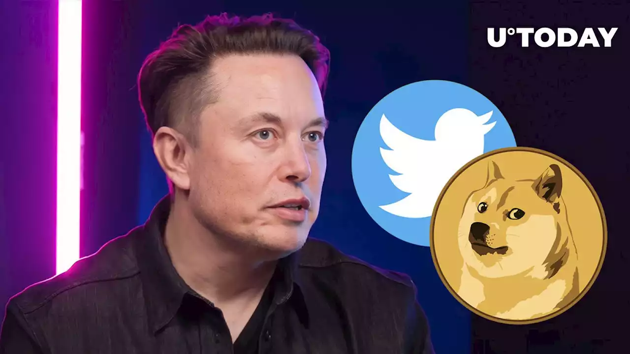 Elon Musk's Twitter 'Slaps' Dogecoin (DOGE) Army, Here's What Happened