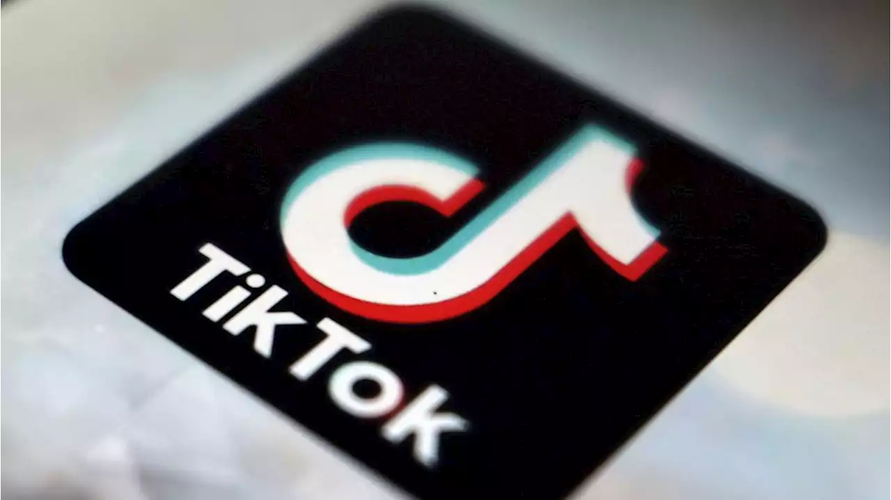 Tiktok-Verbot an Schulen und Hochschulen sorgt für Frust