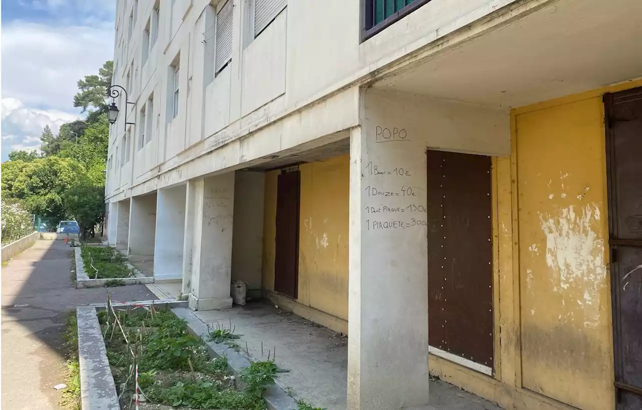 Un important point de deal démantelé dans un quartier sensible de Nice