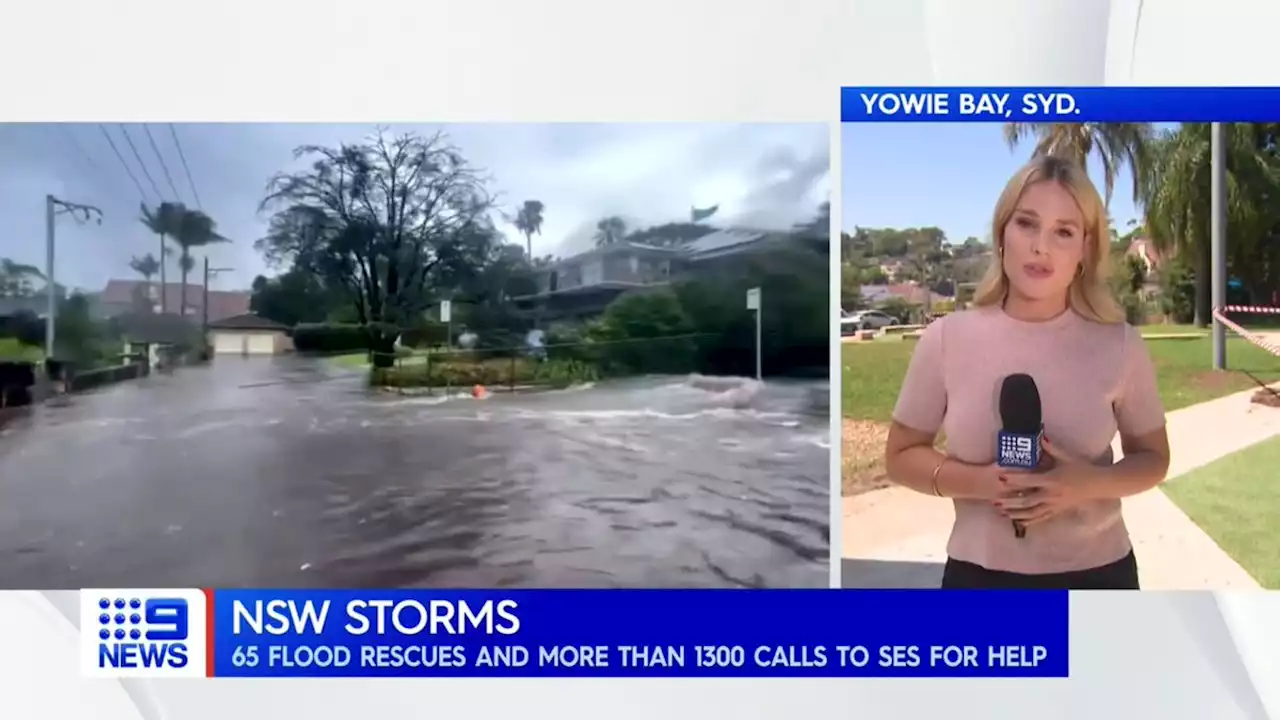 Surging floodwaters sweep car out to sea amid dangerous NSW storm