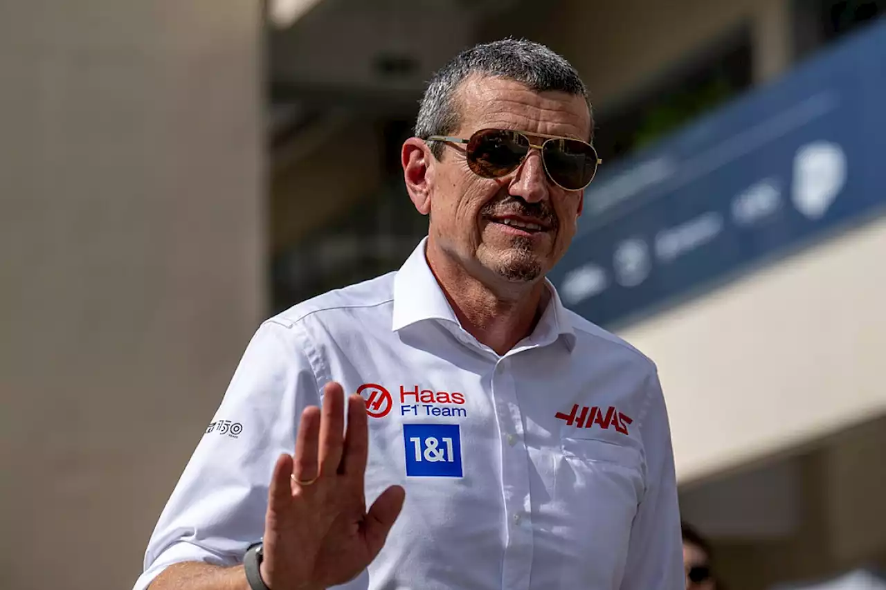 Steiner sees &quot;no upside&quot; for current teams in expanding F1 grid