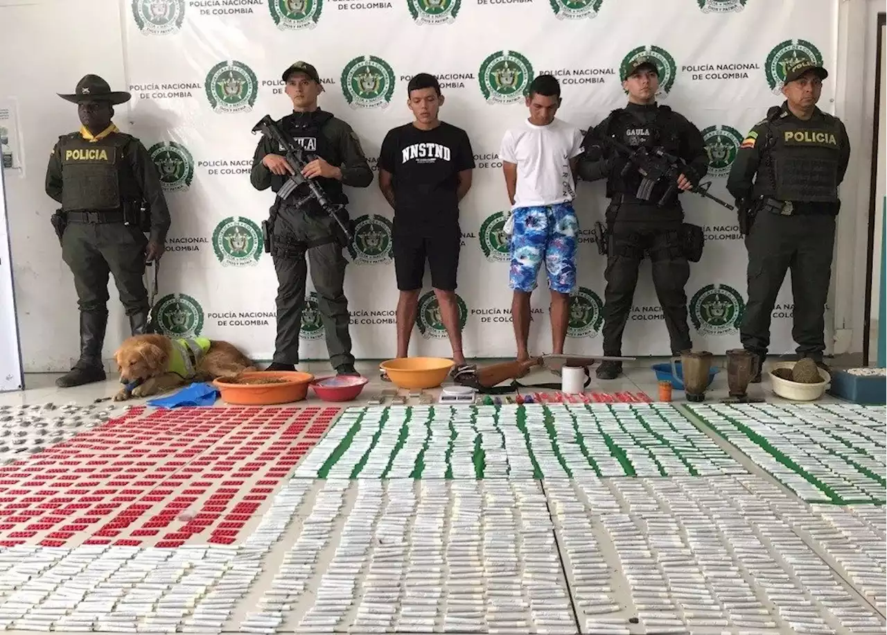 Fuerte golpe a bandas de droga dejó la incautación de 11.000 dosis de marihuana en Bucaramanga