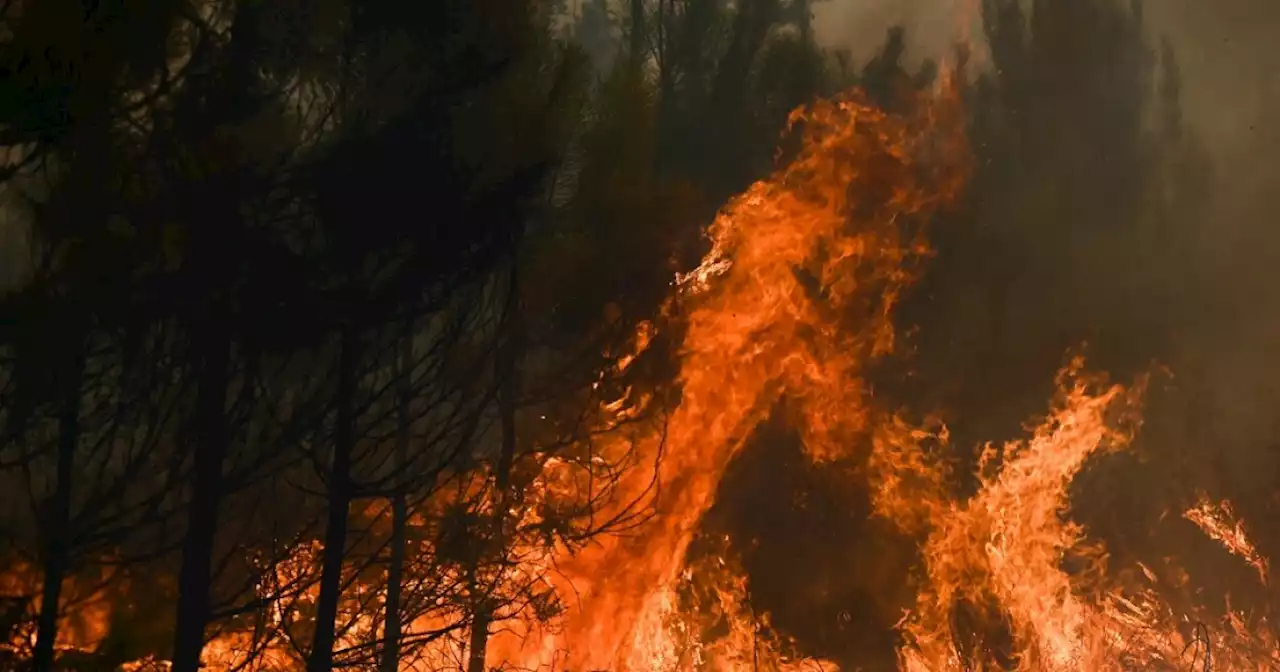 Hasta ocho incendios forestales diarios están atendiendo los equipos de bomberos de Santander