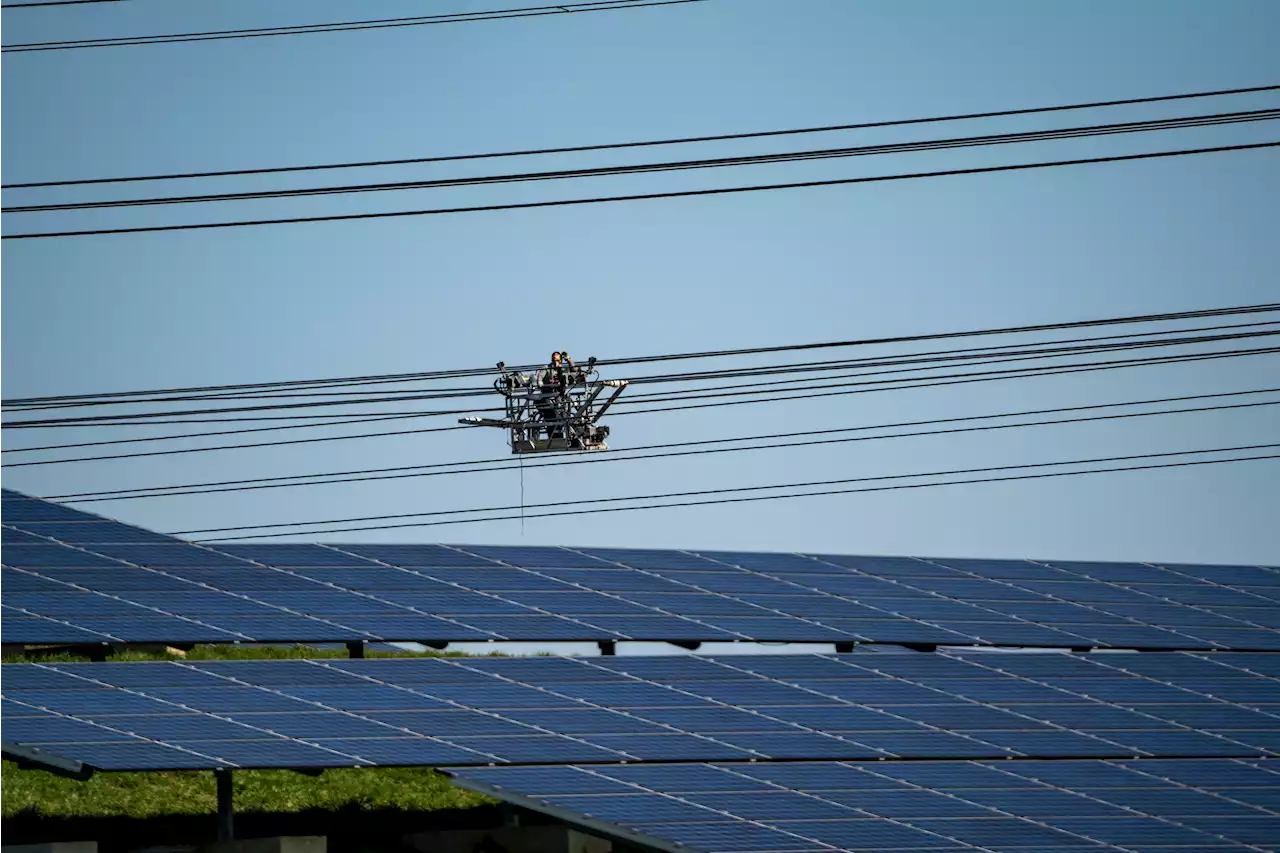 Photovoltaik: Braucht Bayern dafür einen Plan?