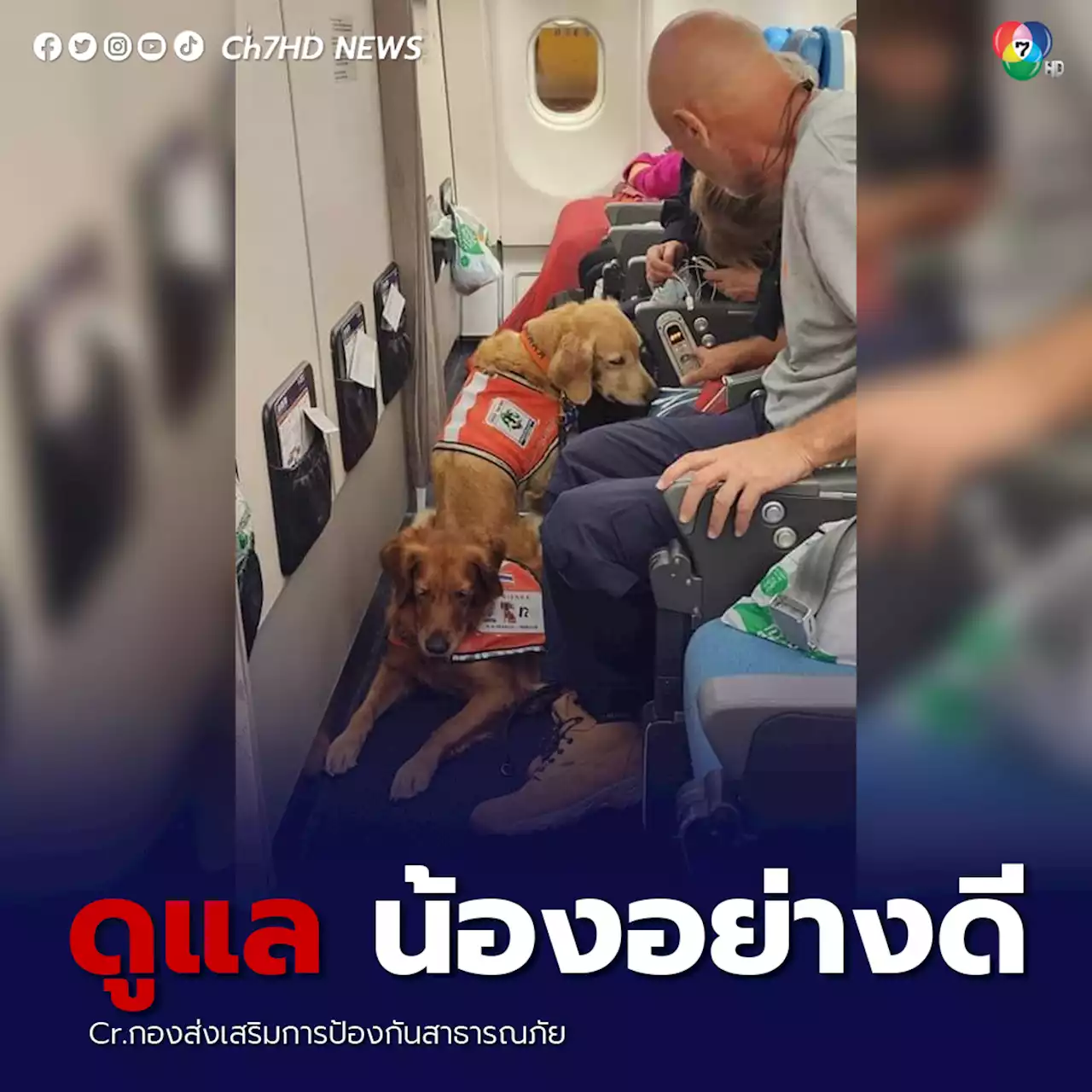 สุนัข K9 'เซียร่า-ซาฮาร่า' ที่ถูกส่งไปช่วยในเหตุแผ่นดินไหวตุรกี ได้รับดูแลอย่างดี