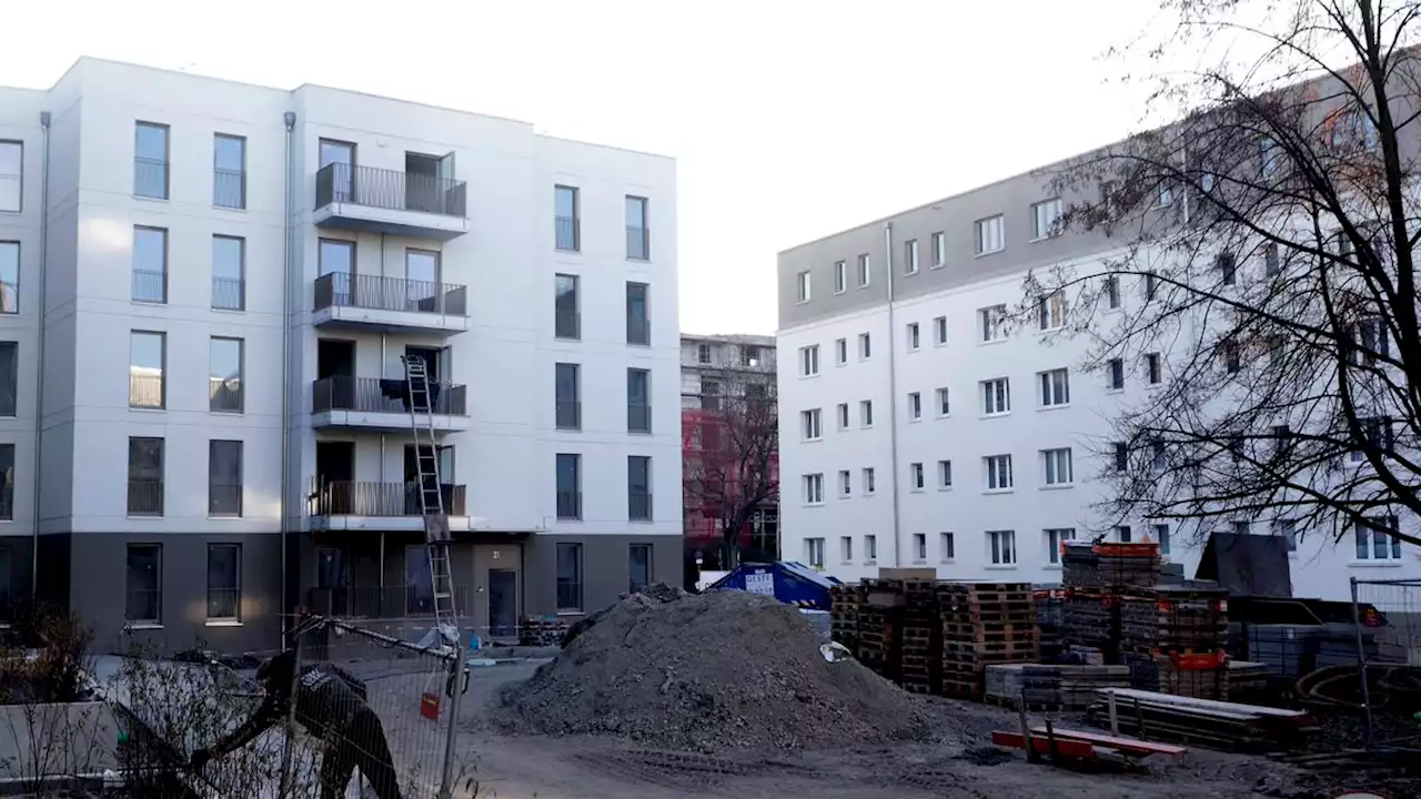 Neubau-Kollaps in Berlin: Dramatische Folgen befürchtet