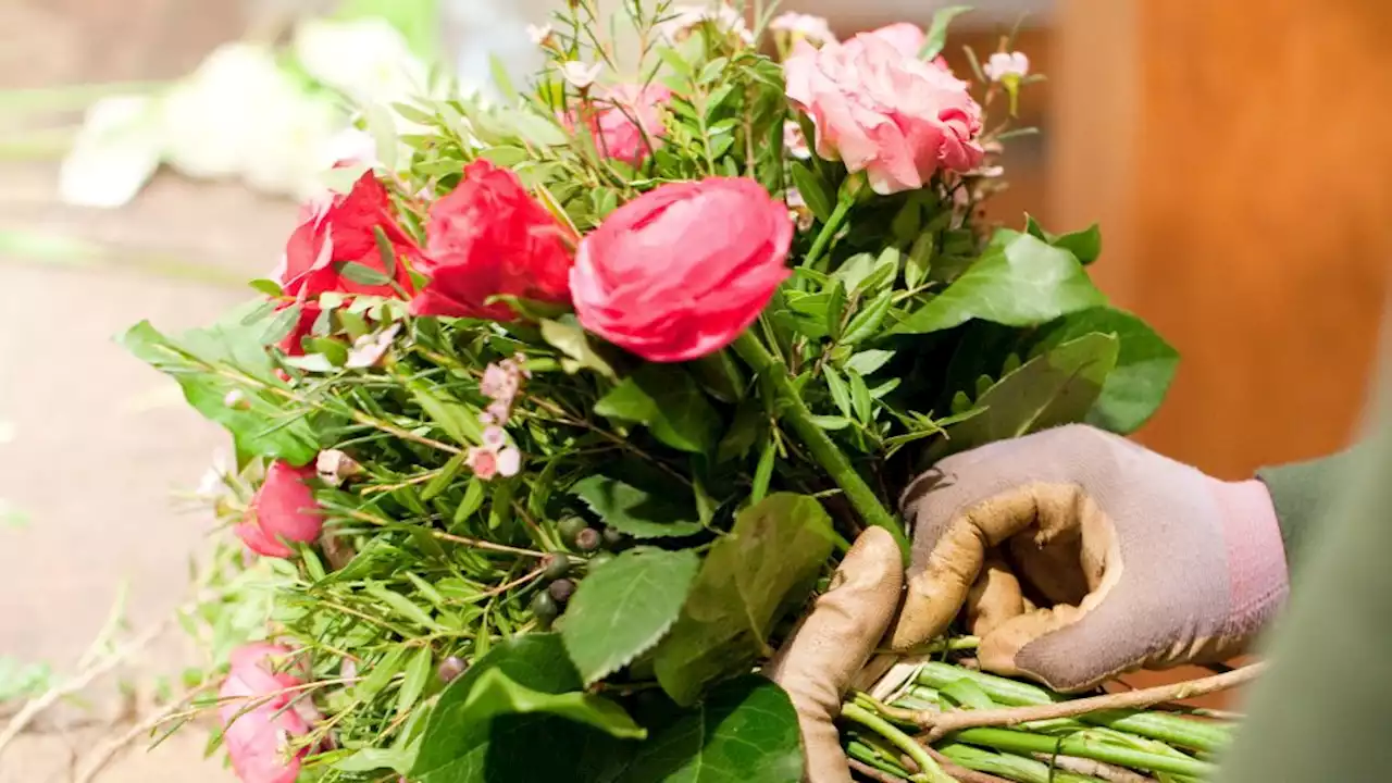 Zum Valentinstag: Es müssen nicht immer teure Rosen sein