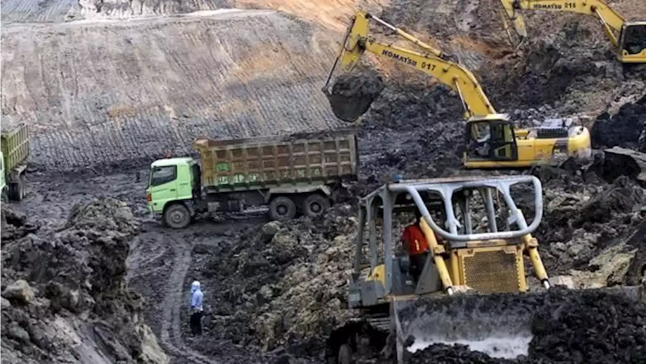 Harga Batu Bara Ambruk Parah, 14 Sahamnya di RI Berjatuhan