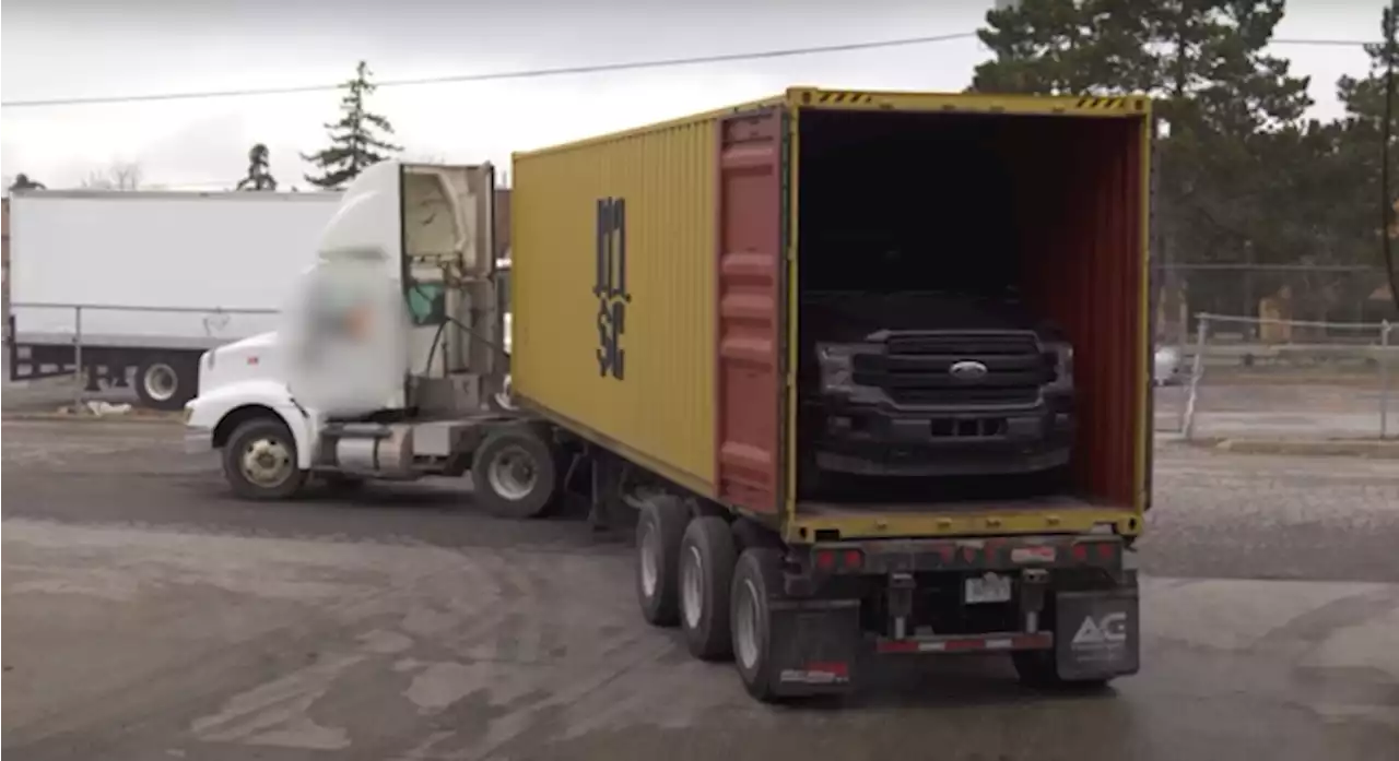 Dozens of stolen vehicles returned to Canada after being found in shipping containers in Malta