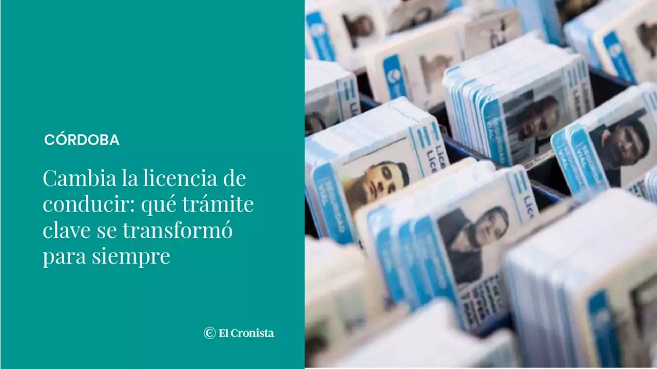 Cambia la licencia de conducir: qu� tr�mite clave se transform� para siempre